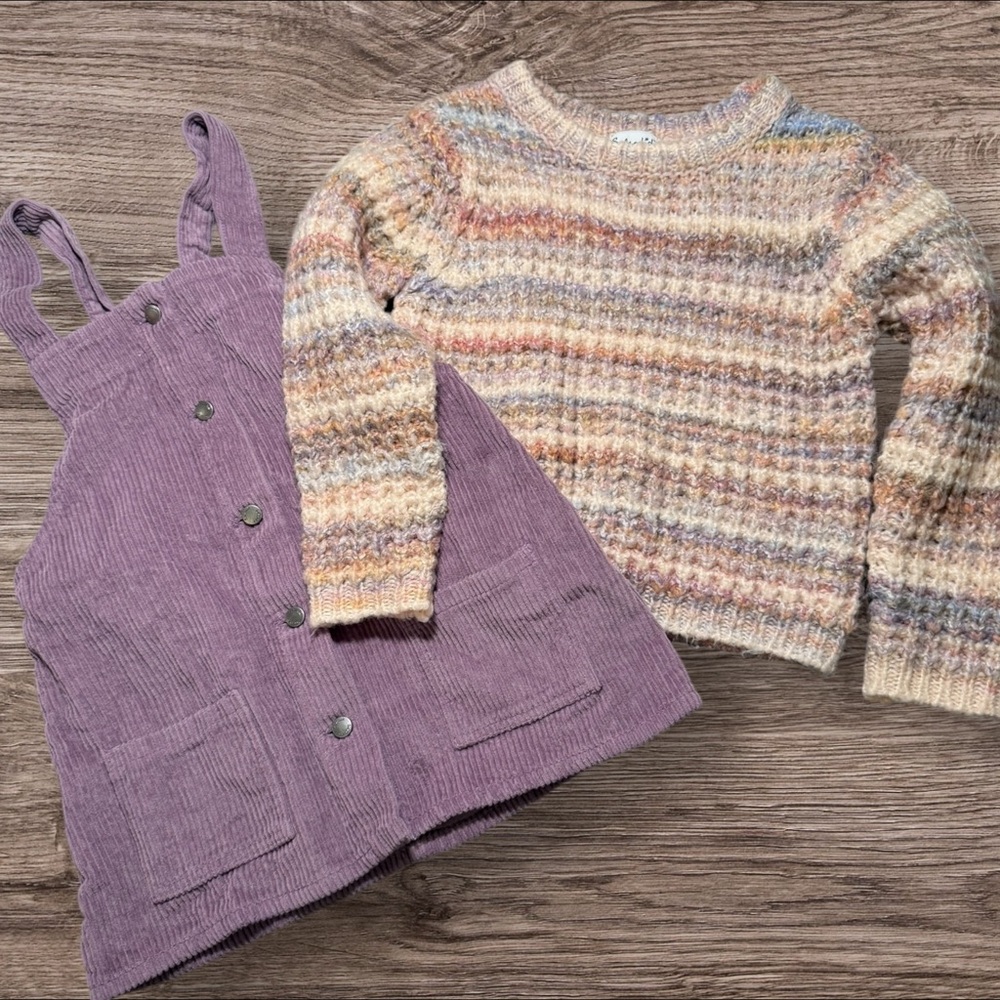 Splendid Cream and Purple Sweater Matching Set